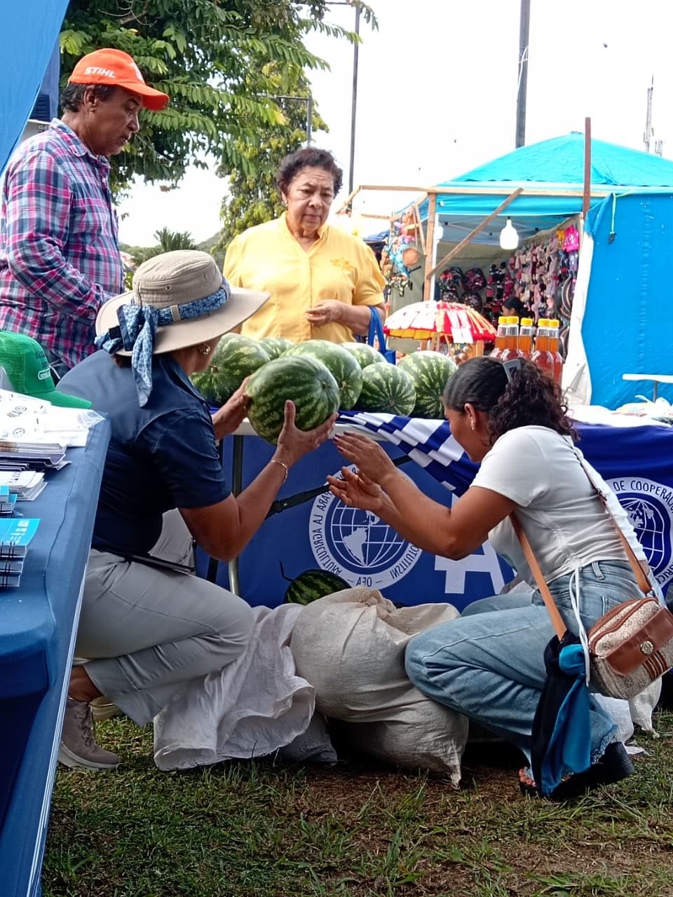Feria de la sandia